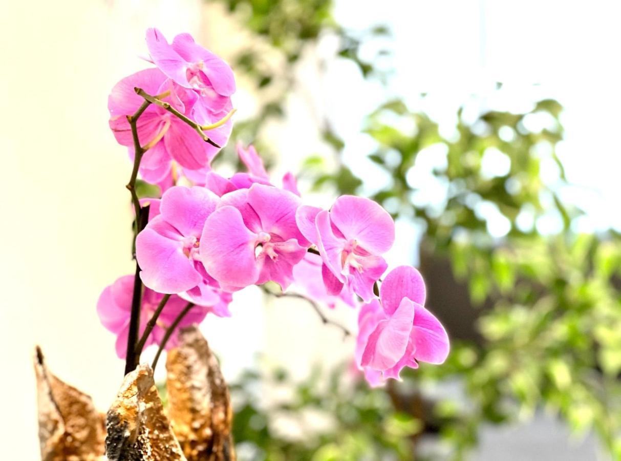 Wonderful Design Apartment In The City Centre บูดาเปสต์ ภายนอก รูปภาพ